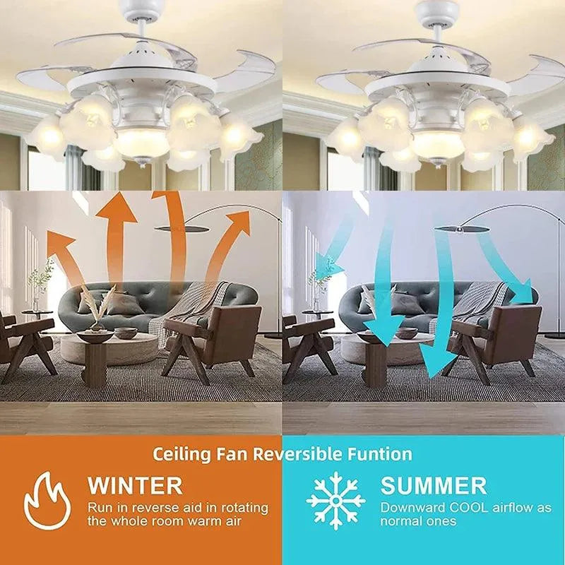 Remote Control Decor Ceiling Fans. - BH Home Store